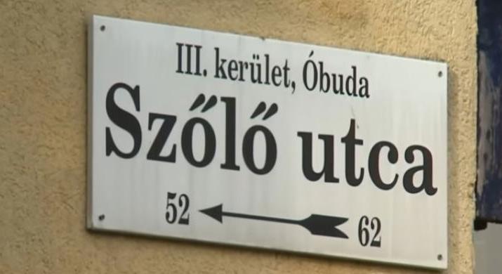Iszonyatos ami kiderült a Szőlő utcai ügyről, eddig senki nem merte ezt kimondani, a szakértő kőkemény kijelentést tett