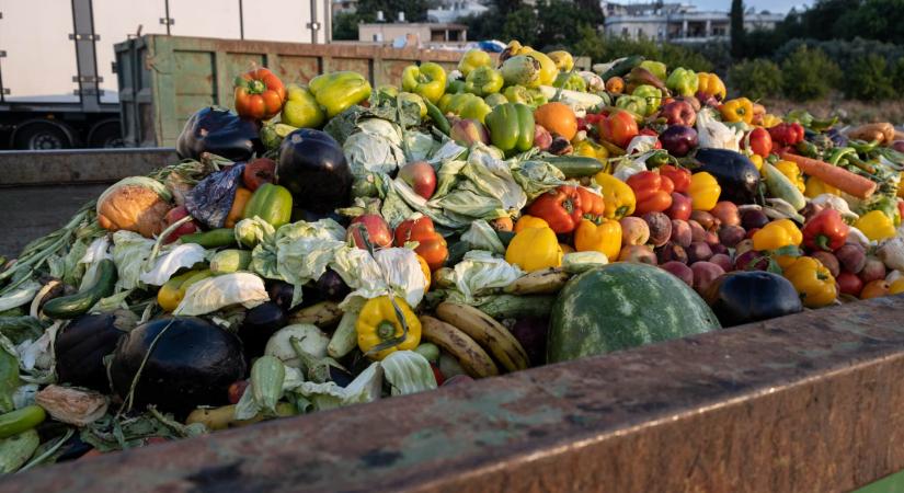 Egyetlen falat sem mehet kárba: így küzd a Vegan Summit-díjas multi a pazarlás ellen