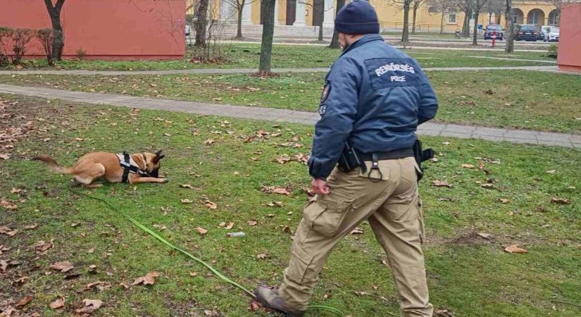 Különleges kiképzésen vettek részt a veszprémi rendőrkutya-vezetők (galéria)