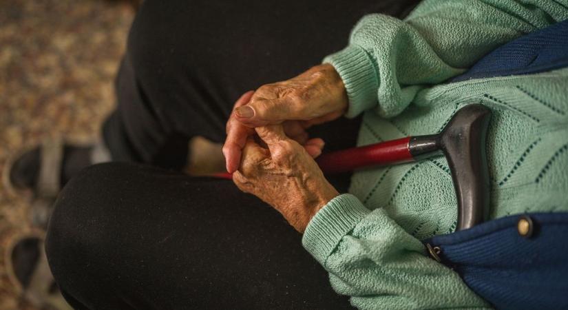 Vírus okozott járványt Hevesben