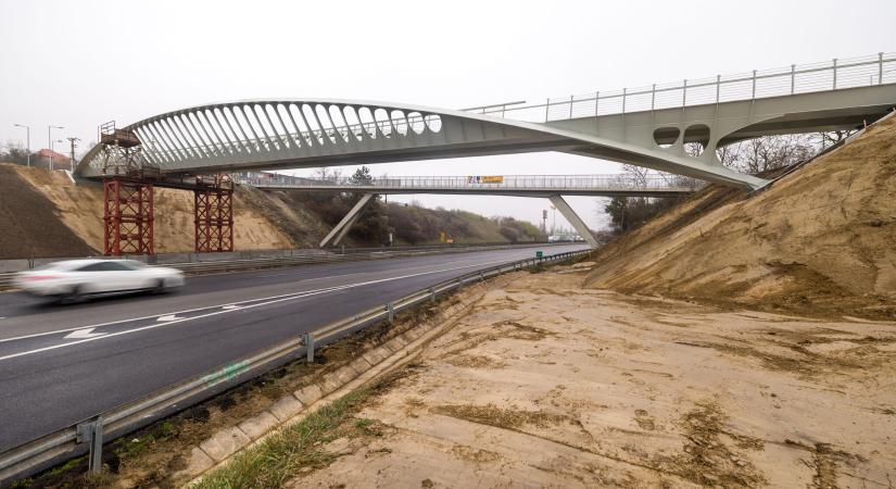 Hibrid szerkezet, parametrikus modellezés – így születik egy virtuóz híd