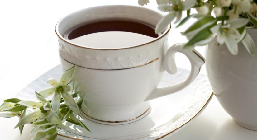A dietetikusok elárulták: ennek a gyógynövénynek a teája hidratál a legjobban