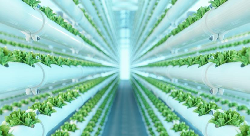 Japánban már a jövőt tervezik: jön a városokba beltéri növénytermesztés