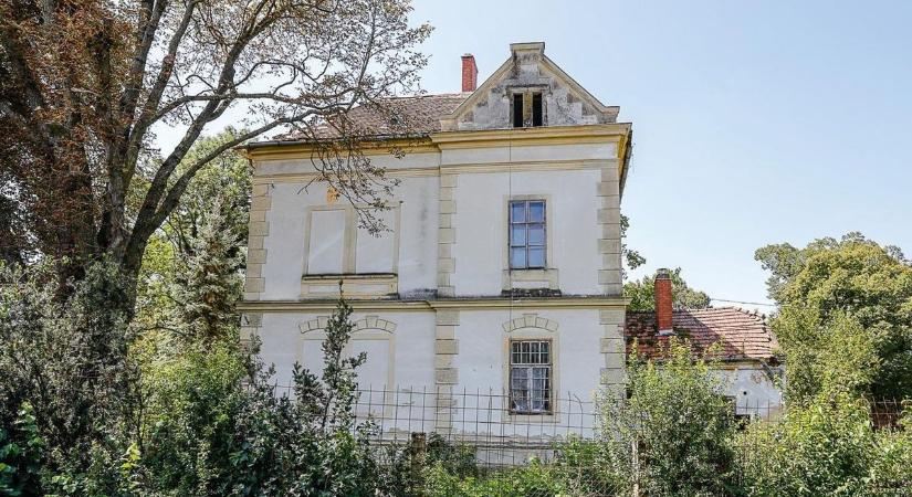 Agyonverték a tolvajt az önbíráskodók