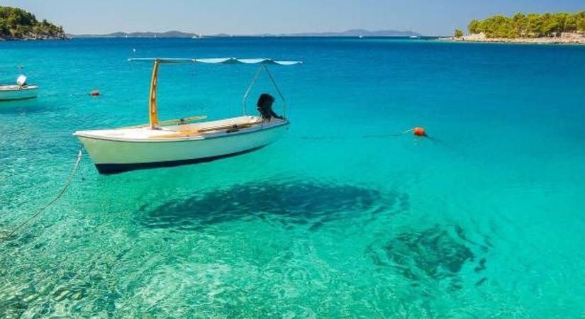 Kékbe csomagolt illúzió: mutatjuk a természet egyik legnagyobb trükkjét