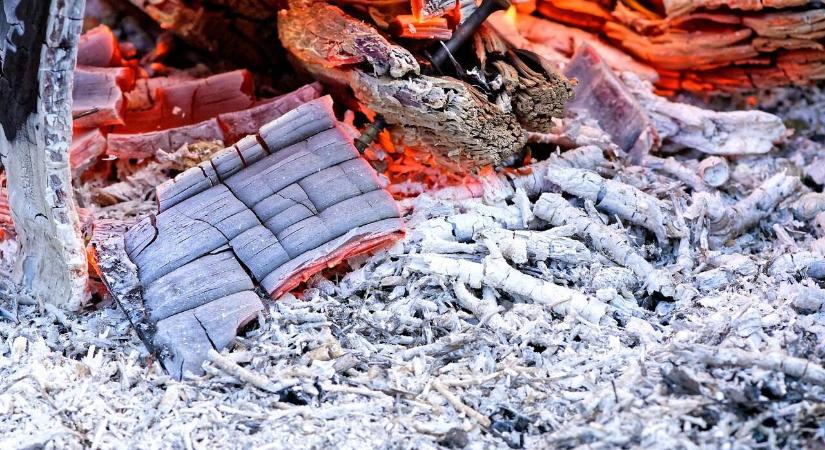 A fahamu egy „titkos” dologra is jó, tényleg nem érdemes kidobni