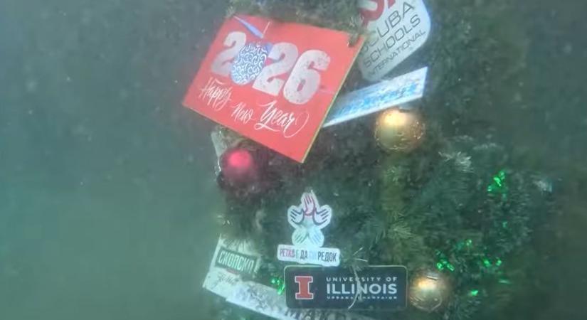 Víz alatt állítottak karácsonyfát a jótékonykodó búvárok