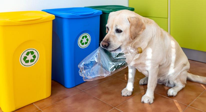 Az ilyen típusú műanyag- és fémhulladékot nem lehet szelektíven gyűjteni