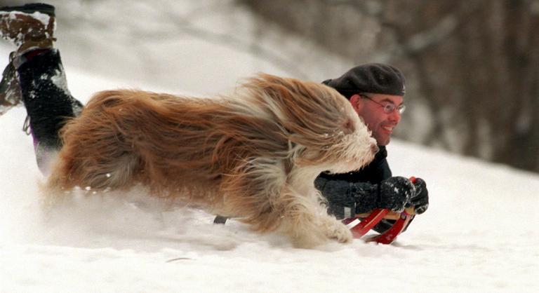 A klímasoviniszták ellopták a telet