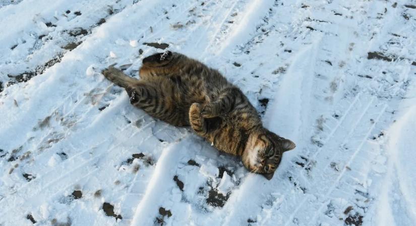 Van még esély a fehér karácsonyra az ország egyes részein