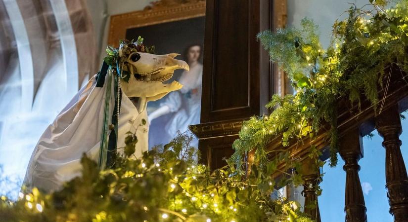 Karácsonyi szokások a világ körül: lókoponyától a kakiló fatörzsig