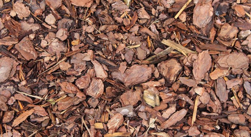 A mulcsnak is lehet negatív hatása, kerüljük el a buktatókat