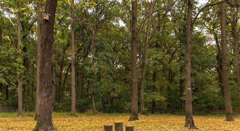 Zengő túra és egy finom ebéd: így kell lezárni ezt az évet!