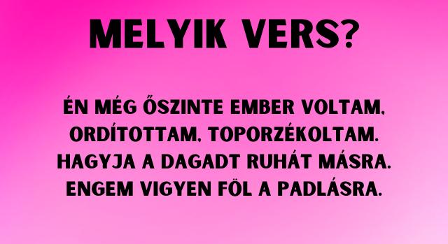 Napi irodalom feladat: A sorok a füledben csengenek, de a cím is megvan?