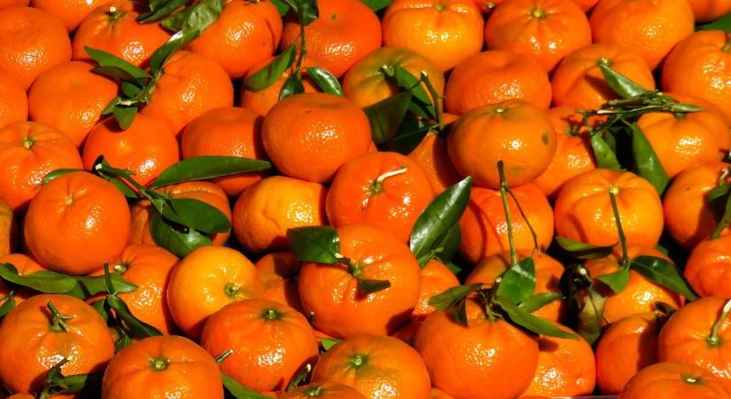 Bio, klementin, mandarin – nem mindegy, mit veszel le a polcról