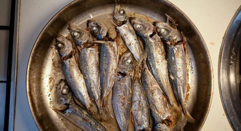 Ezek a halak észrevétlenül táplálják a szervezeted a legfontosabb vitaminnal