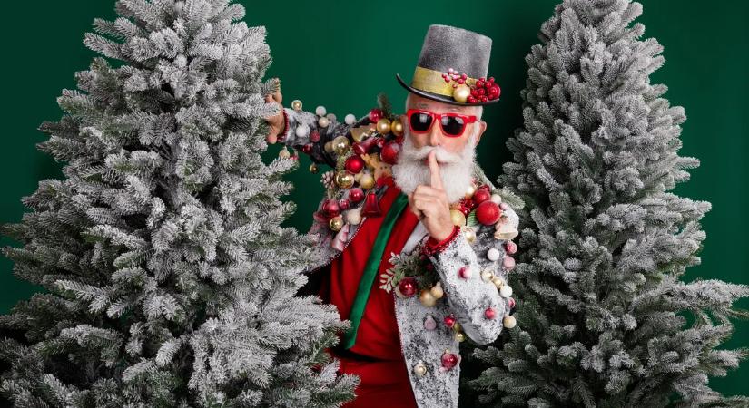 Olcsó fenyőfa vásárlás: így válaszd ki a tökéletes karácsonyfát