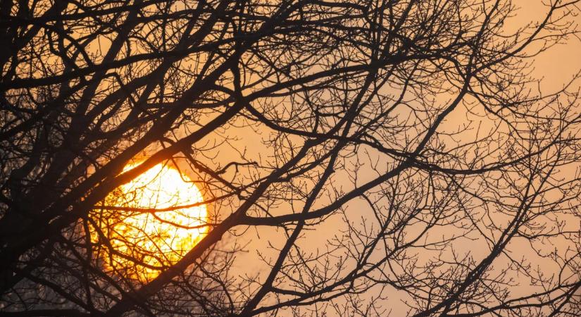 Ma van Disznóölő Tamás napja, de mit is jelent ez?