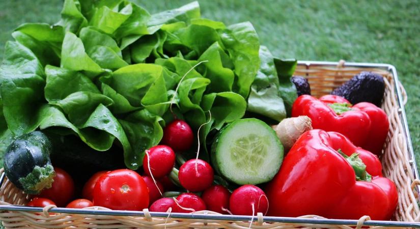 Nem elég a kínálat: az ökopiac keresleti oldalát is erősíteni kell