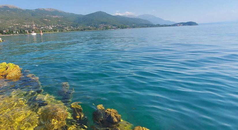 Víz alá vitték a karácsonyfát