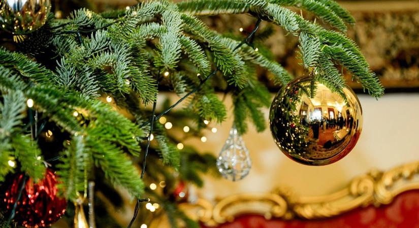 Petőfi Sándor teljes sokkban töltötte az utolsó karácsonyát, furcsa idegenek tették tönkre a fiatalok ünnepét