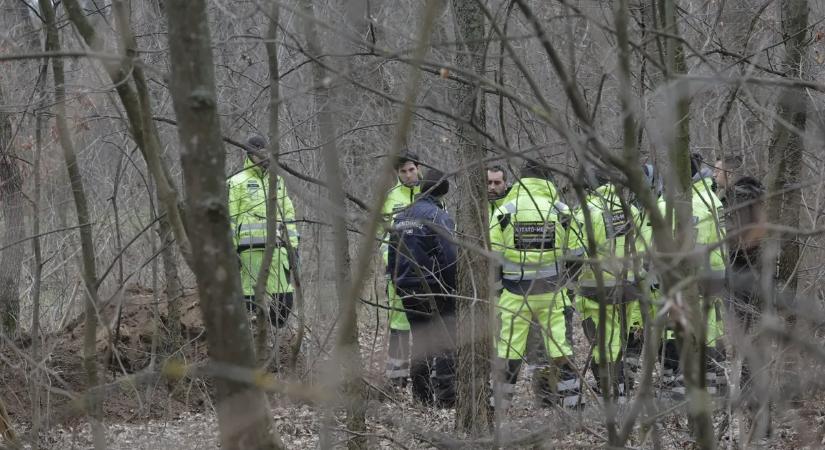 Egy erdész miatt nem robban ki egy újabb Kaszás Nikolett-ügy Jánoshalmán