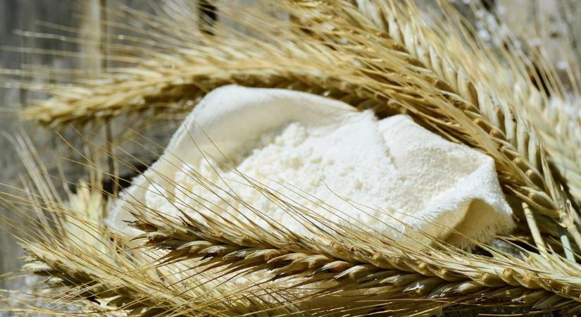 Jónak lenni jó: két tonna liszttel és egymillió forinttal segít a Magosz és a Magyarok Kenyere program