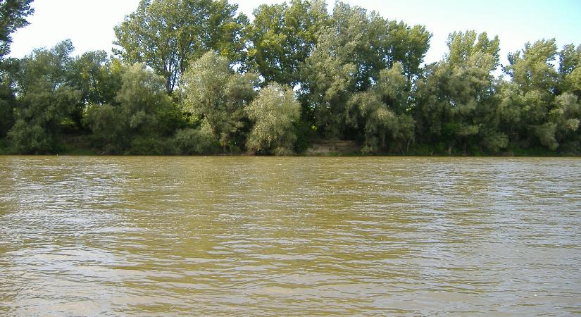 Elsüllyedő folyó, kiszáradó táj, a Tisza medermélyülésének következményei