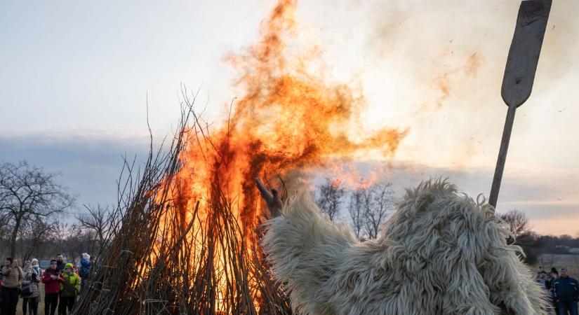 Fejér vármegye lett az ország közepe: minden szem ránk szegeződött (galéria, videó)