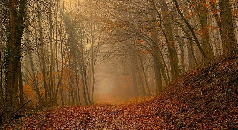 Mindent beborít a köd, de a zalai tájban még ez is gyönyörű - mutatjuk fotókon (képgaléria)