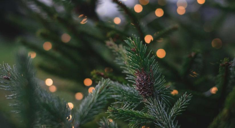 Környezetbarát ünnepi készülődés: több mint 200 diák a Zöld Nap-suliban