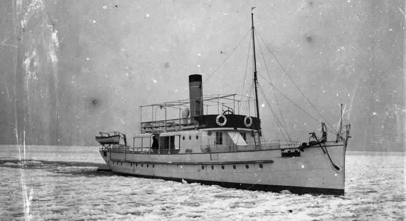 Somogyból jött a hír: farkast láttak a Zselicben