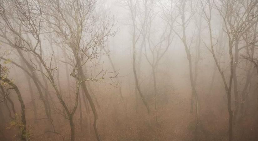 Felszakadozik a hidegpárna, de jön az élénk szél: ilyen idő jön a hét elején