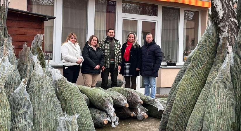 Felajánlás a rászorulóknak - Hetven család kapott fenyőfát karácsonyra