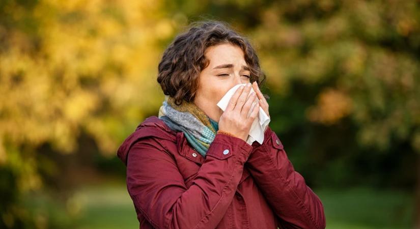 Átszabnak több városi parkot, sokan fellélegezhetnek