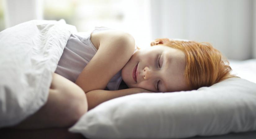 Ha T-Rexben alszol, akkor azt azonnal hagyd abba