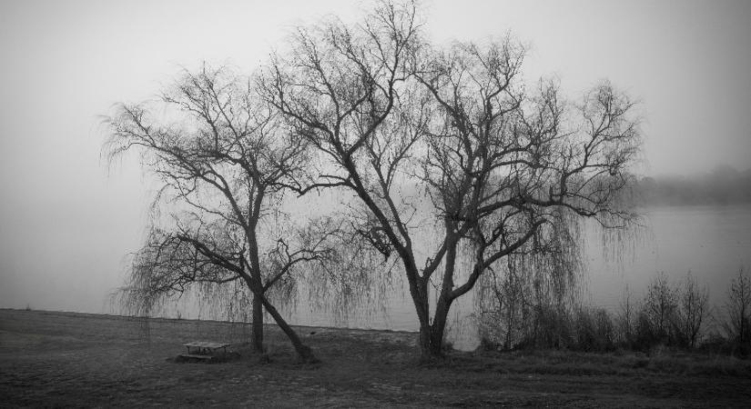 Gyökeres változás közeleg, a köd napjai meg vannak számlálva