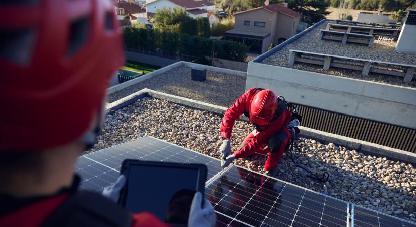 Gesztenye-feldolgozó, pizzéria, repülőgyár, fémipari vállalat - négy cég, négy iparág és azonos kihívások