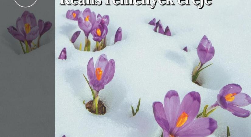 Hogyan beszéljünk a gyerekekkel, ha rákbeteg lesz valaki a családban?