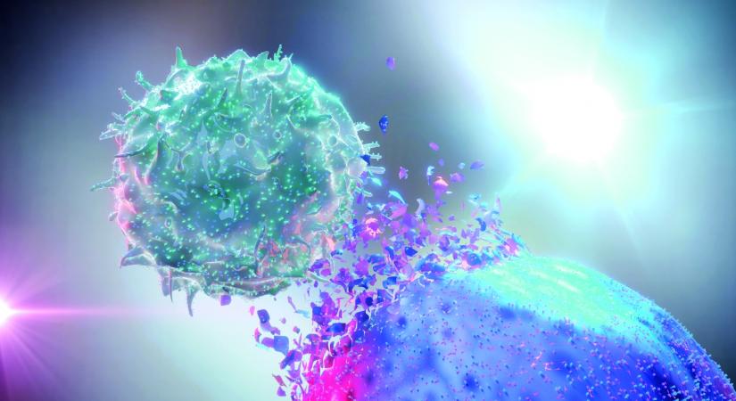 A magyar onkológia új korszaka: a gyógyításba integrált kutatási eredmények