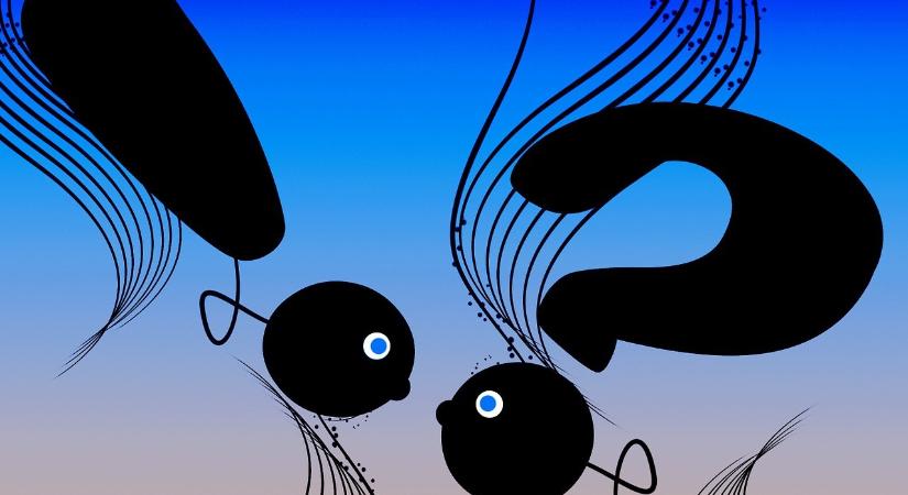 Ezért fontos a jogviszony pontos meghatározása, megfelelő kiválasztása