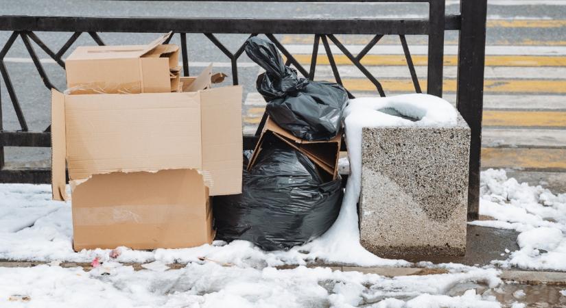 Gazdag környékre ment a szemétbe turkálni az influenszer: amit talált, megdöbbentő
