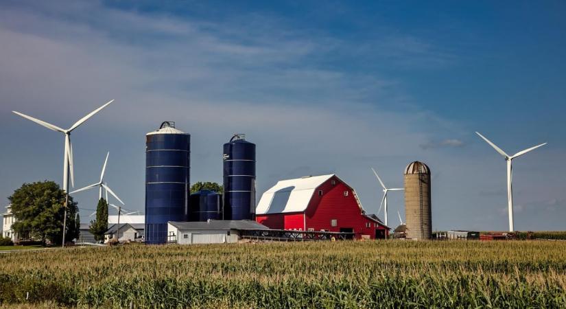 Gazdasági nyomás alatt: Trump új segélycsomaggal támogatja az amerikai gazdákat