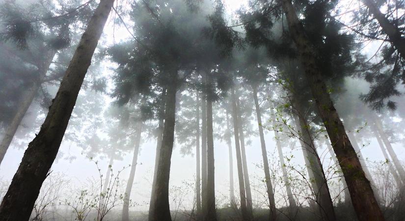 Már érződik a front előszele