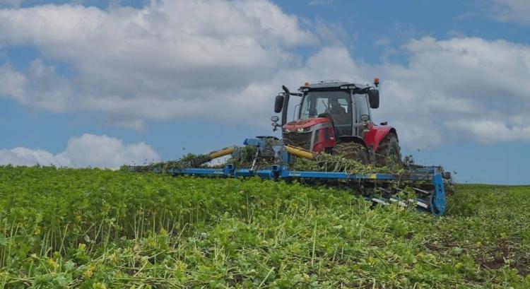 Actisol Roll Krop – fedőnövények mechanikus kezelése
