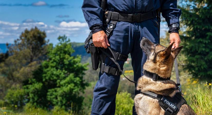 Akár a Te kutyád is lehet a következő szimat nyomozó