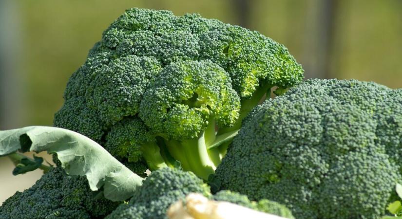 Így táplálkozzon, ha szennyezett a levegő a környezetében