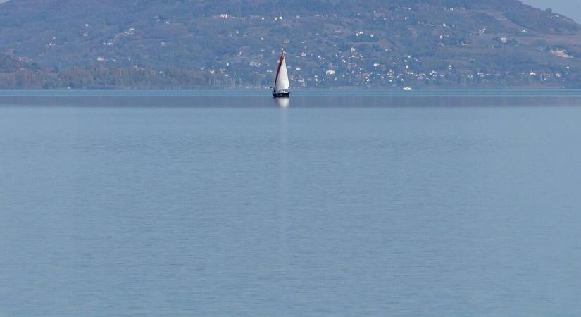 Veszedelmes állatok jelentek meg a Balatonnál, elkezdődött a lemészárlásuk
