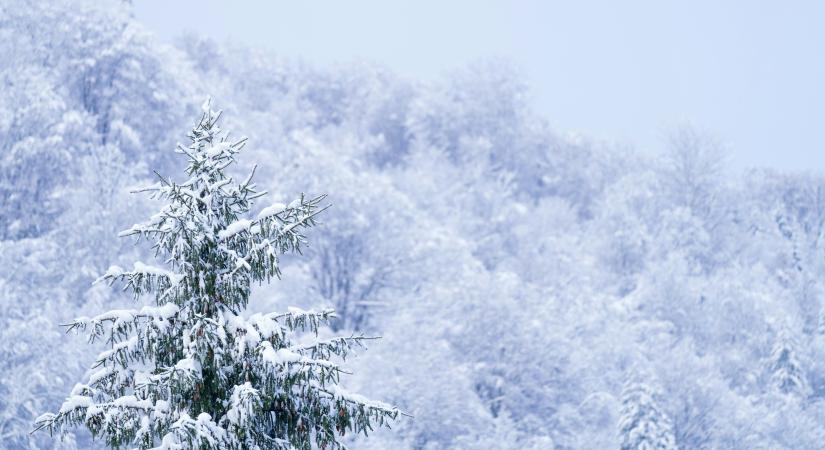 Magyarország egy része fehér karácsonyra készül: térképen mutatjuk, hol hullhat akár 8 centi hó