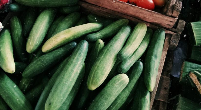 Még nincs itt a hazai uborkaszezon